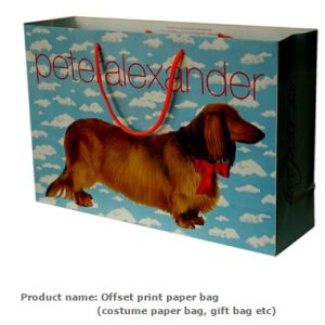 Luxury Paper Gift Bags Paper Carrier Bag Party Bag with Handles,Low Cost Ribbon