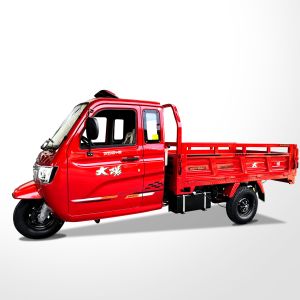 China High Payload Capacity DAYANG Adult Enclosed Motorized Tuk Tuk Tricycle for Sightseeing on sale