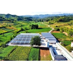 China Livestock Shelter Dairy Farm Barn Custom Steel Structure Cow Shed For Live Cattle on sale