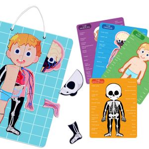 Human Body Anatomy Learning Magnetic Puzzle For Ages 3-8 Kids 48Pcs With Gift