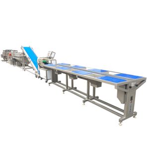 3T Leaf Salad Vegetable Washing Processing Line Customized
