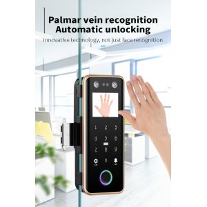 G5S Face Recognition Fingerprint Card Passcode Electronic Glass Door Lock for