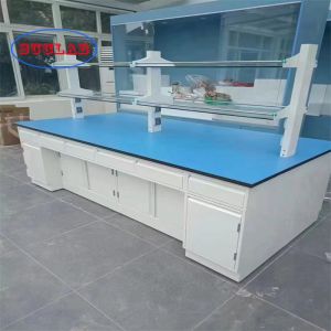 Customized Lab Workbenches with Shelves for Rectangular Design and Multi