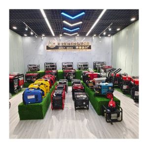 2023 Wholesale AC Output Type Good Quality Electric 10kVA Price 5,5 kW Mini