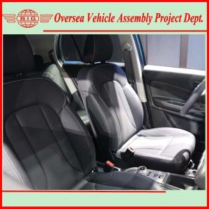 Pure Electric Cars / Electric SUV High Speed Automobile Assembling