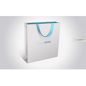 Custom Luxury Gift Garment Paper Shopping Bags With Logo Print