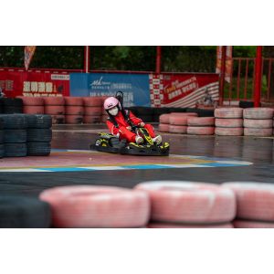 Quick Charge Electric Go Kart Pro With 4 Wheels Drive Seats Adult Fast Speed