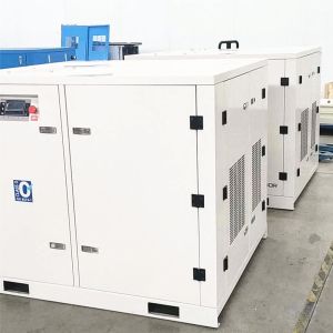 5hp Scroll Compressors Oil Free With Air Tank 3.7kw oil free scroll air