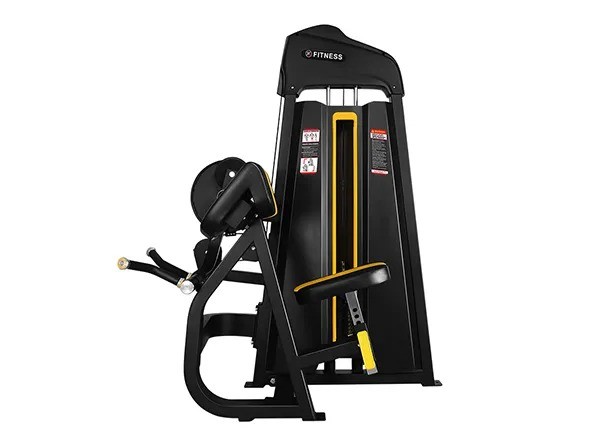 Selectorized Biceps Curl & Triceps with hot sale