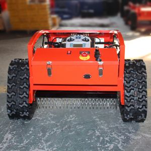 Petrol Lawn Mower Industrial/DIY Riding Mower with Rotary Cordless and Robotic