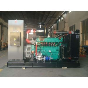 50HZ/60HZ Frequency Open Frame Gas Bio Gas Generator for Customized Requirements