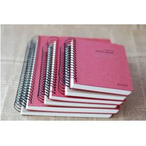 Printed student custom exercise spiral notebook,A5/A4 spiral notebook
