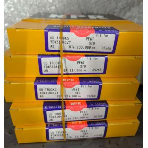 Silver Nissan Engine Spare Parts For Engine PD6 RD8 Piston Ring 24340 12040