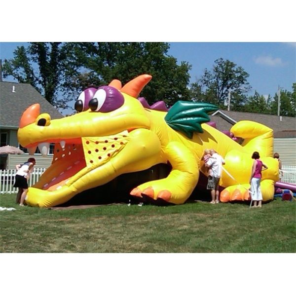 Durable Outdoor Commercial Inflatable Slide, Cheap Inflatable Crocodile Slide