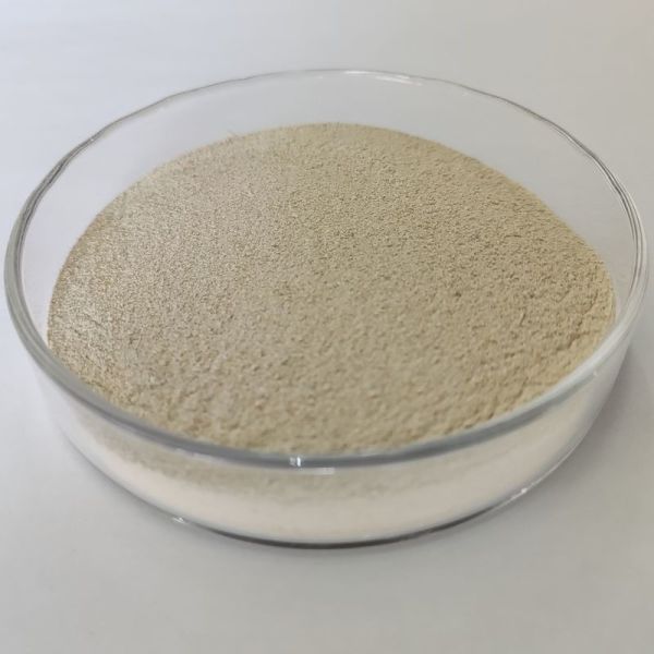 Quality Non-hazardous Protease Industrial Grade for Maximum Benefits wholesale