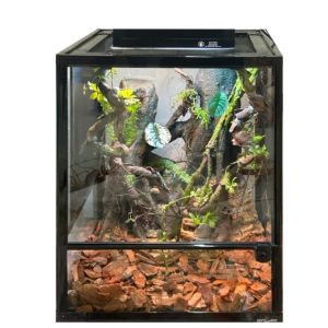 DIY Reptile Enclosure Background Easy To Fit Reptile Tank Background