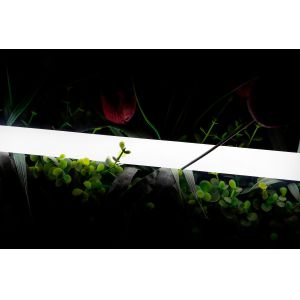 360 Degree Lighting LED Neon Tube DC24V 15W/M Flex Silicone LED Neon Light