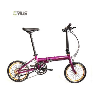 China 16 Inch Foldable Cycle Pull On Ground Bicycle For Eco-Friendly Transportation on sale