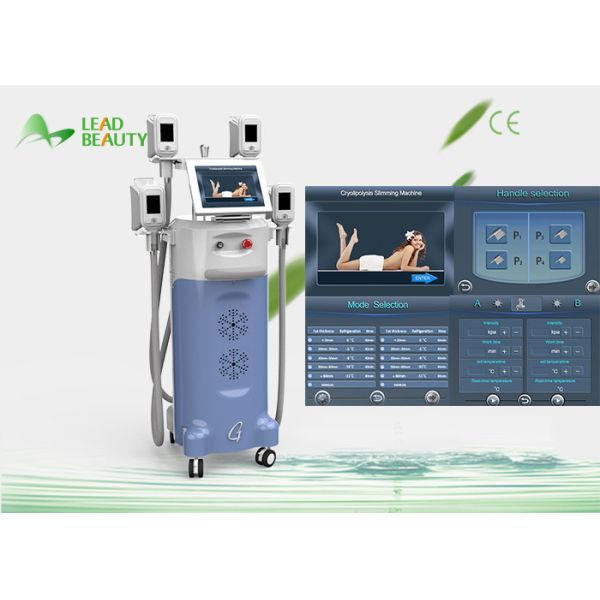World best selling products Cryolipolysis machine with 4 handles