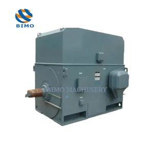 YR YRKK YRKS Series Medium High Voltage Motor 6KV 10KV Wound Rotor Slip Ring