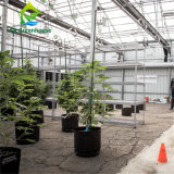 AC 380V Water And Fertilizer Integration System Hydroponic Fertilizer Machine