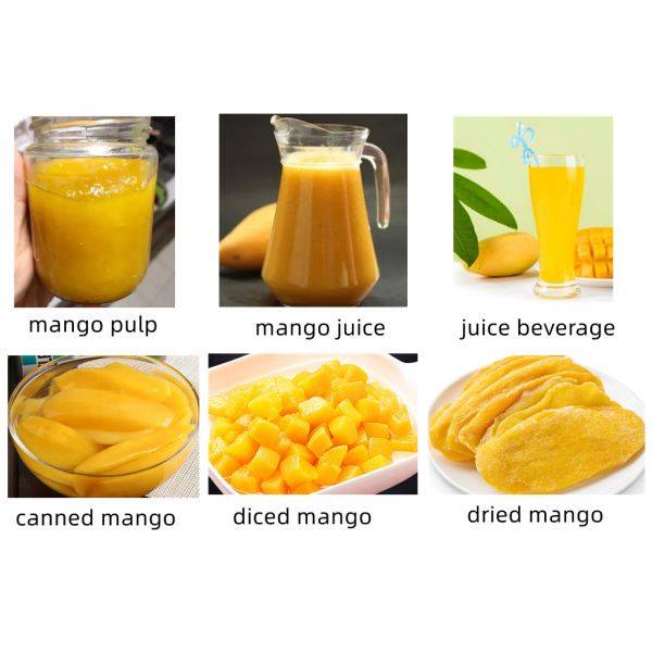 Customize Voltage Mango Pulp Processing Machine Automatic Grade