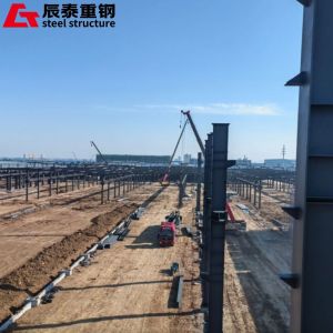 Customized Steel Structure Manufacturing For Office Building / Poultry Farm /