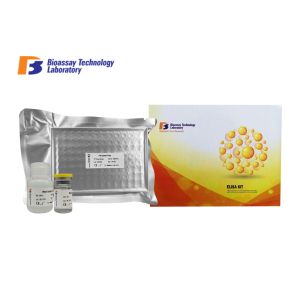 Cheap High Precision LT C4 Mouse ELISA Kit 20ng/L - 6000ng/L Standard Curve Range for sale