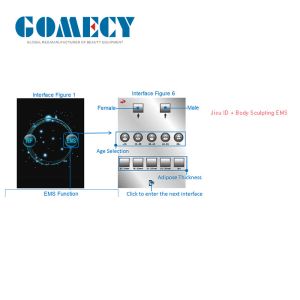 Vertical 15 Inches large LCD True ID +EMS RF Body Slimming Machine