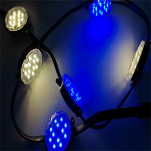 IP67 Waterproof DC24V 50MM DMX LED RGB Pixel Lights Programmable Full Color
