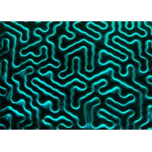 China Liquiglass Printed Laminated Float Glass 300x300mm on sale