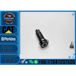 4P9830 1W6541 CAT 3306 Diesel Common Rail Plunger 4P9830 1W6541