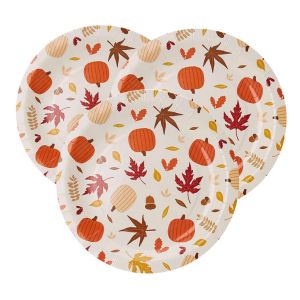 100 Compostable Plates And Cutlery