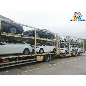 13T FUWA Axle Mechanical Lowbed Semi Car Hauler Trailer