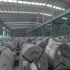 Flat Rolled Steel Coil Hot Rolled With Different Thickness And Width 1000mm