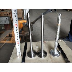 Customization 118KG W12V190.03.01 Intake Valve for 500kw Natural Gas Generator