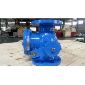 Cheap Industrial Cast Iron Check Valve with Sturdy Construction for sale