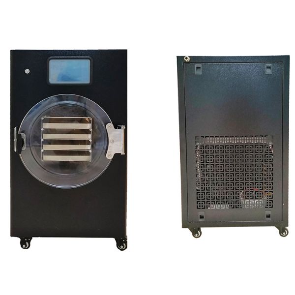 Quality 220V 380V 3PH Voltage Stay Fresh Freeze Dryers With PLC Control System wholesale