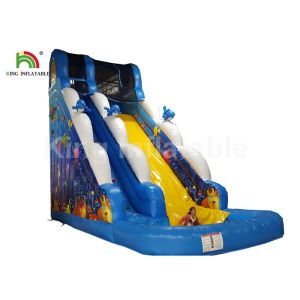 Cheap Puncture - Proof Ocean World Dolphin Inflatable Water Slide / Outdoor Inflatable Playground for sale