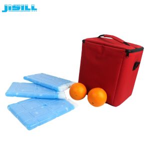 Plastic Shell Packing PCM Phase Change Material Ice Cooler Brick For Cooling