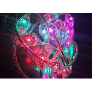 Polycarbonate Housing RGB Curtain Lights DC12V Low Voltage Energy Saving