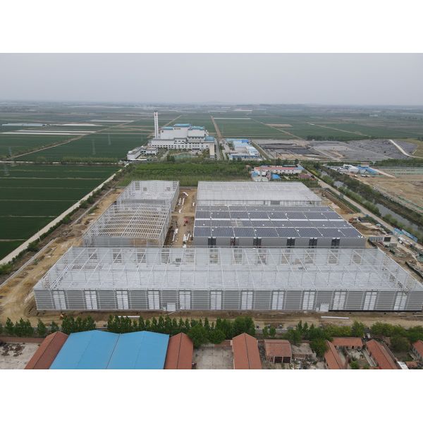 High Strength Steel Structure Building Prefabricated Industrial Steel Structure Exhibition Hall