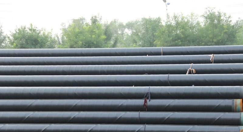 PE Seamless And ERW API 5L Line Pipe , PLS1 And PLS2 L360 X52, Plain End And