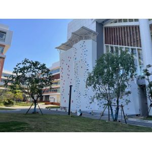 Indoor Adult Speed Climbing Holds EN 12572 For University Club