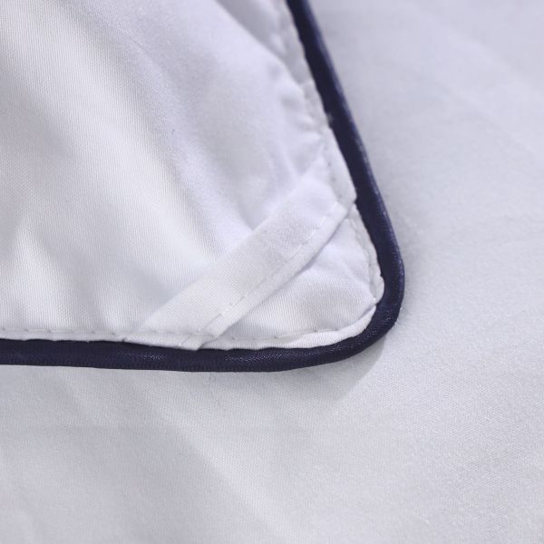 Hilton Duvet Double Spring Autumn Winter Quilt Core and Hot Style for Micro-Business