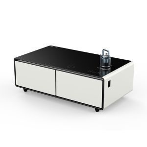 Digital Control and Boiling Kettle in Compact Living Room Fridge with Wireless