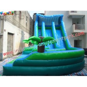 Cheap 0.55mm PVC Commercial Coco Outdoor Inflatable Water Slides 10L x 5.5W x 6.5H Meter for sale