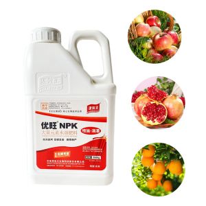 Cheap 19-19-19 100% NPK Water Soluble Fertilizer Liquid Agriculture for sale