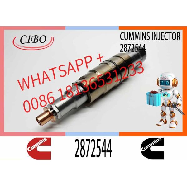 Common Rail Fuel Injector 2872544 C2872544 for Cummins Engine ISX ISX12 ISX15 Diesel Generator Engine Spare Parts