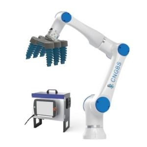 5 Kg Payload Collaborative Robot For Picking And Placing With 6 Finger Robot